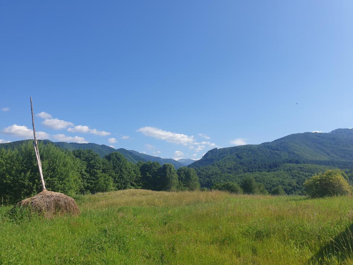 Valea Doamnei Ξενοδοχείο Nucşoara Εξωτερικό φωτογραφία