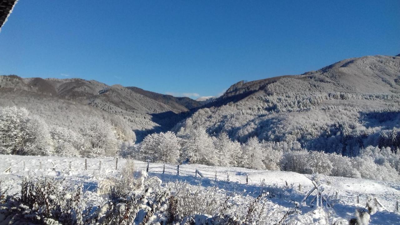 Valea Doamnei Ξενοδοχείο Nucşoara Εξωτερικό φωτογραφία